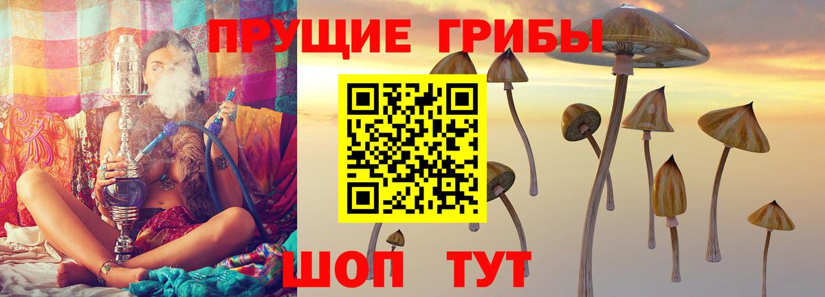 Псилоцибиновые грибы Psilocybe  Галлюциногенные грибы Psilocybe  Тара  Вход с VPN 