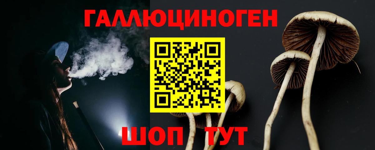 Псилоцибиновые грибы Psilocybine cubensis Тара