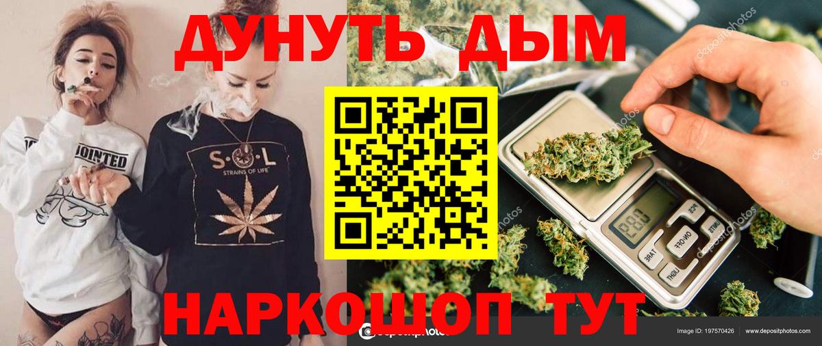 Канабис план  Вход с VPN  Бошки Шишки OG Kush  Тара 